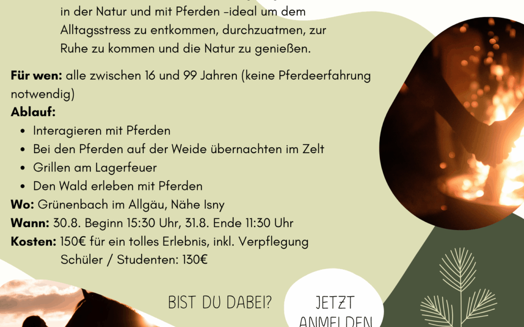 (Pferde)Zeit für dich